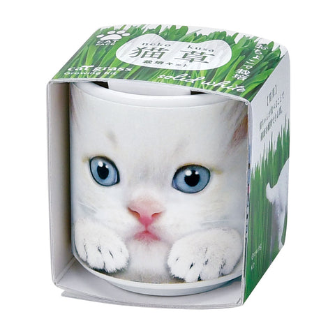 SEISHIN 用貓草|貓用玻璃杯簡單栽培、室內裝飾的貓草（白貓）