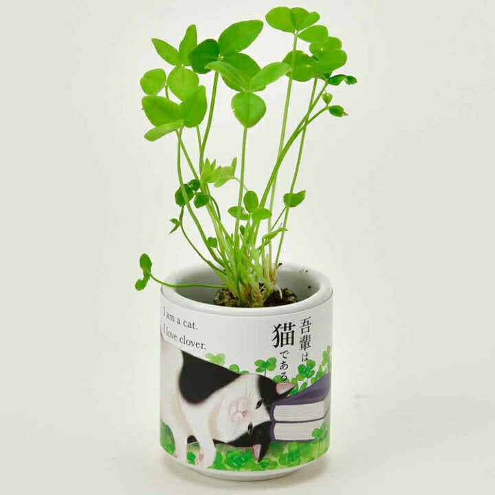 SEISHIN 吾輩貓 三葉草 Clover