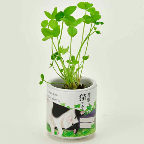 SEISHIN 吾輩貓 三葉草 Clover