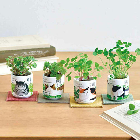 SEISHIN 吾輩貓 三葉草 Clover