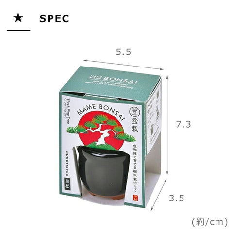 Seishin Pottery HACO MAME 盆景栽培套裝
