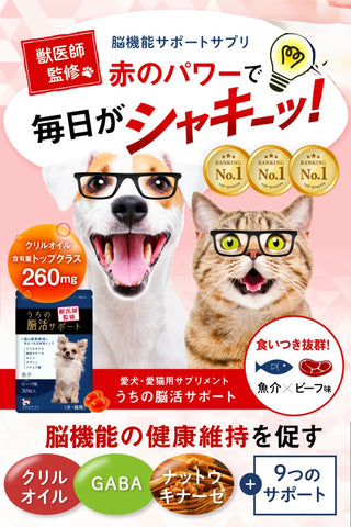 うちの脳活サポート(我家腦活支援) 日本製老犬專用認知功能營養補充品