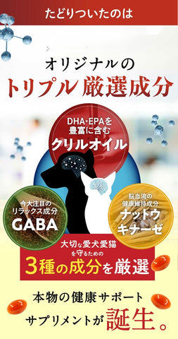 うちの脳活サポート(我家腦活支援) 日本製老犬專用認知功能營養補充品