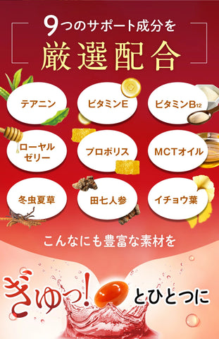 うちの脳活サポート(我家腦活支援) 日本製老犬專用認知功能營養補充品